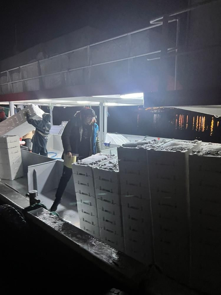 Rize’de yasadışı avcılığa 91 bin TL ceza: 6,5 ton balığa el kondu - Sayfa 2