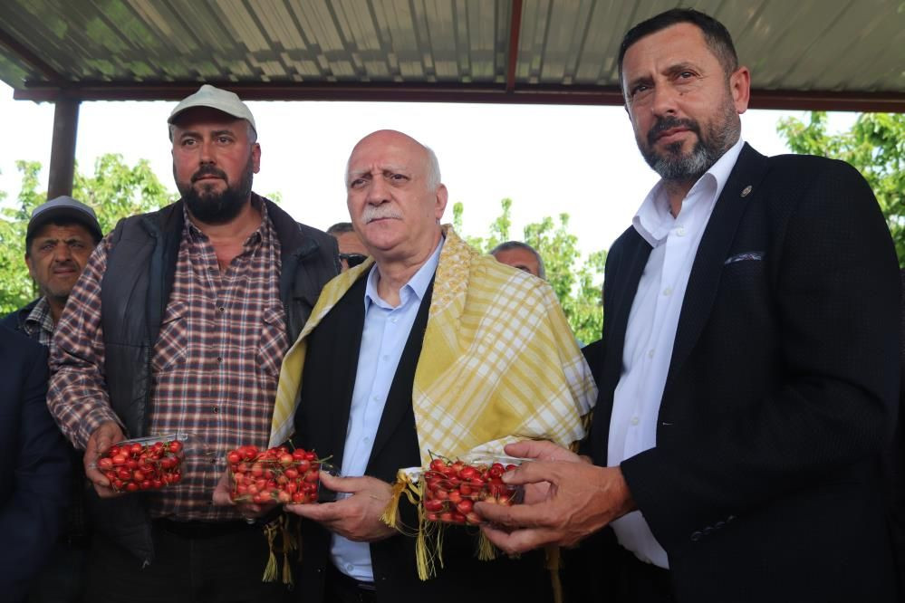 İzmir’de don felaketi: Kiraz, üzüm ve meyve ağaçları zarar gördü - Sayfa 5