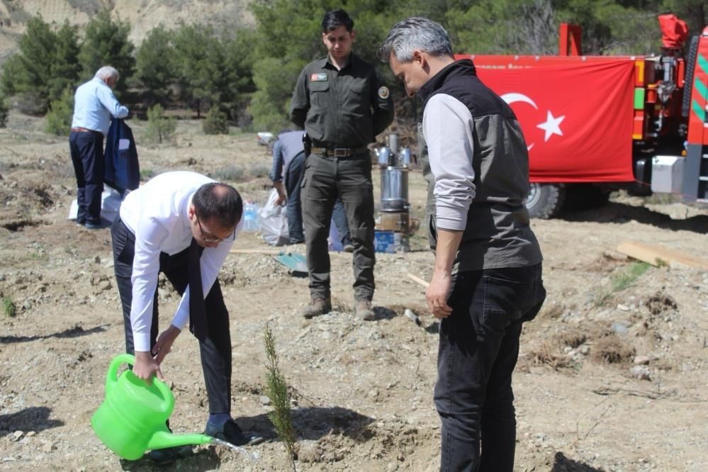 Kastamonu Tosya’da emekli öğretmenlerden doğaya vefa: 200 fidanla hatıra ormanı - Sayfa 1