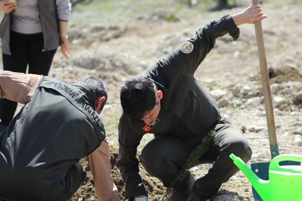 Kastamonu Tosya’da emekli öğretmenlerden doğaya vefa: 200 fidanla hatıra ormanı - Sayfa 2