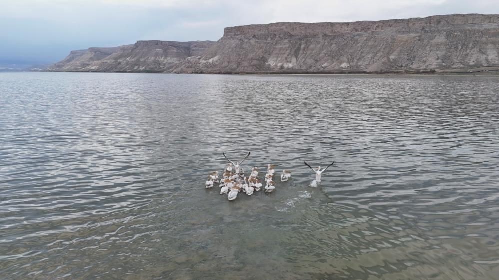 Sarıyar Barajı’nda ilkbahar şöleni: Flamingolar ve leylekler büyüledi - Sayfa 3