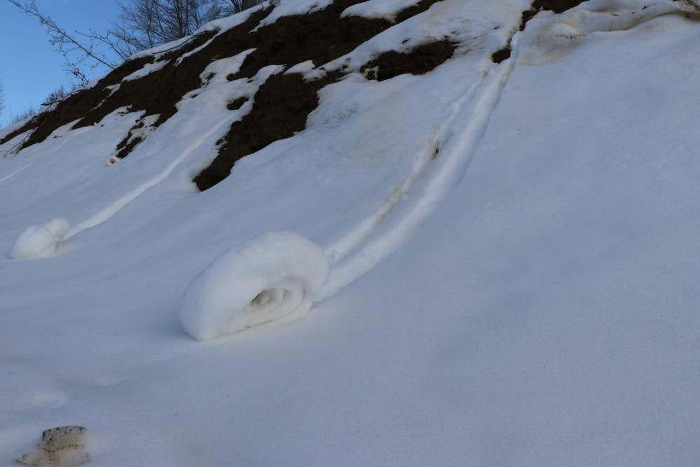 Amasya’nın Dereli Ormanı’nda Nisan sürprizi: Nadir kar ruloları büyüledi - Sayfa 6