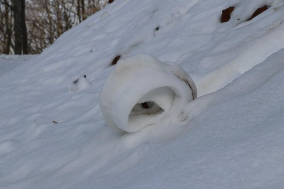 Amasya’nın Dereli Ormanı’nda Nisan sürprizi: Nadir kar ruloları büyüledi - Sayfa 5