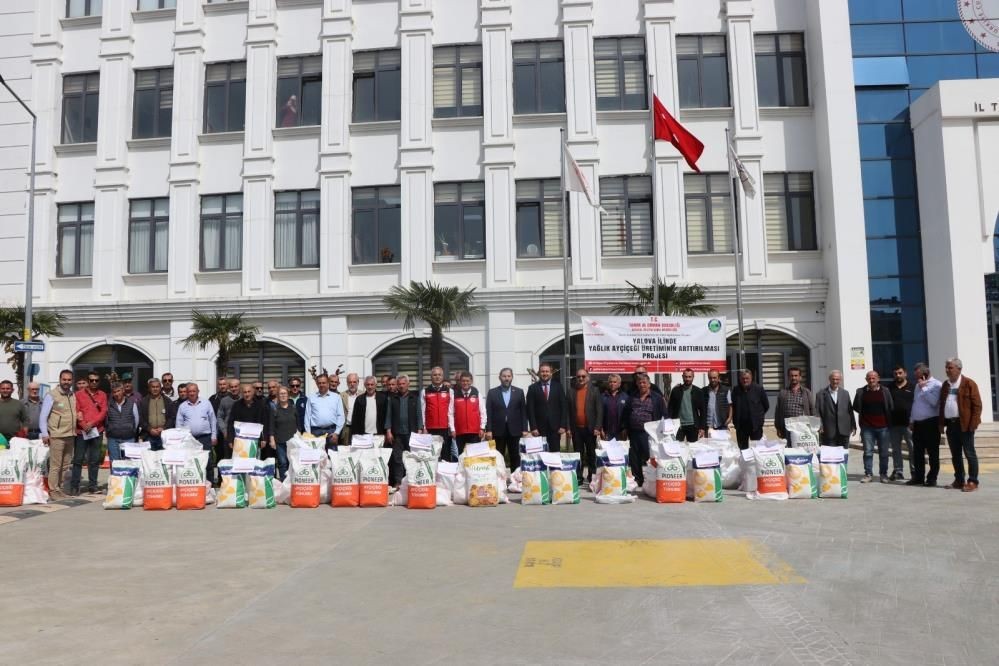 Yalova’da çiftçilere 1 ton 890 kilo ayçiçeği tohumu: 4 bin 200 dekar alan ekilecek - Sayfa 1