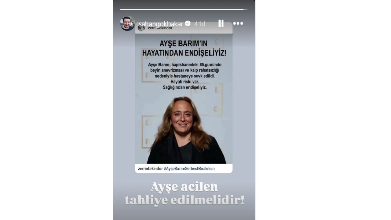 Tutukluluğu devam eden Ayşe Barım'a ünlülerden mesaj yağdı... - Sayfa 4