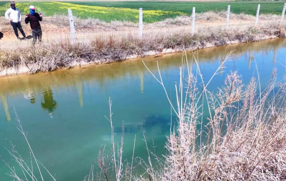 Şanlıurfa Akçakale’de kaybolan çocuğun cesedi sulama kanalında bulundu - Sayfa 1