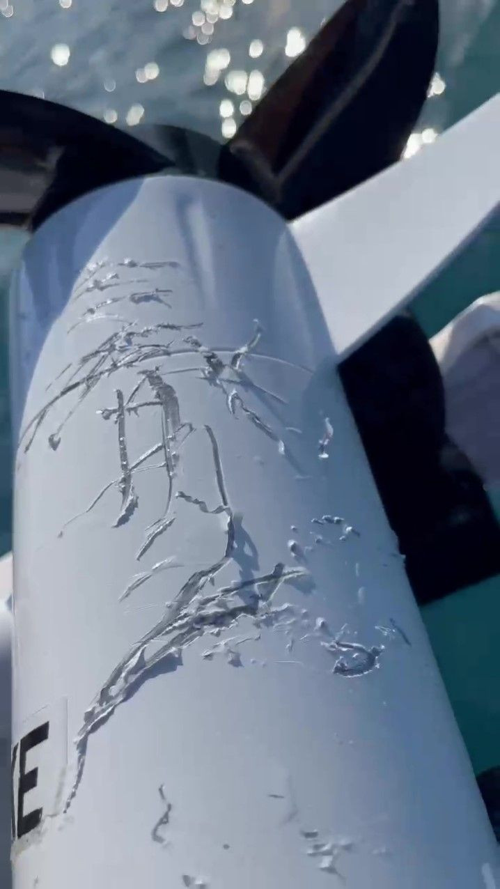 Antalya’da şaşırtan anlar! Yavru köpek balığı çapaya saldırdı, balıkçı şoke oldu - Sayfa 4