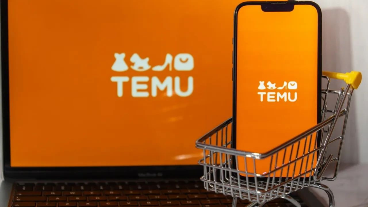 TEMU kapatılacak mı? E-ticarette yeni dönem! Temsilcilik olmayan sitelere erişim engeli - Sayfa 5