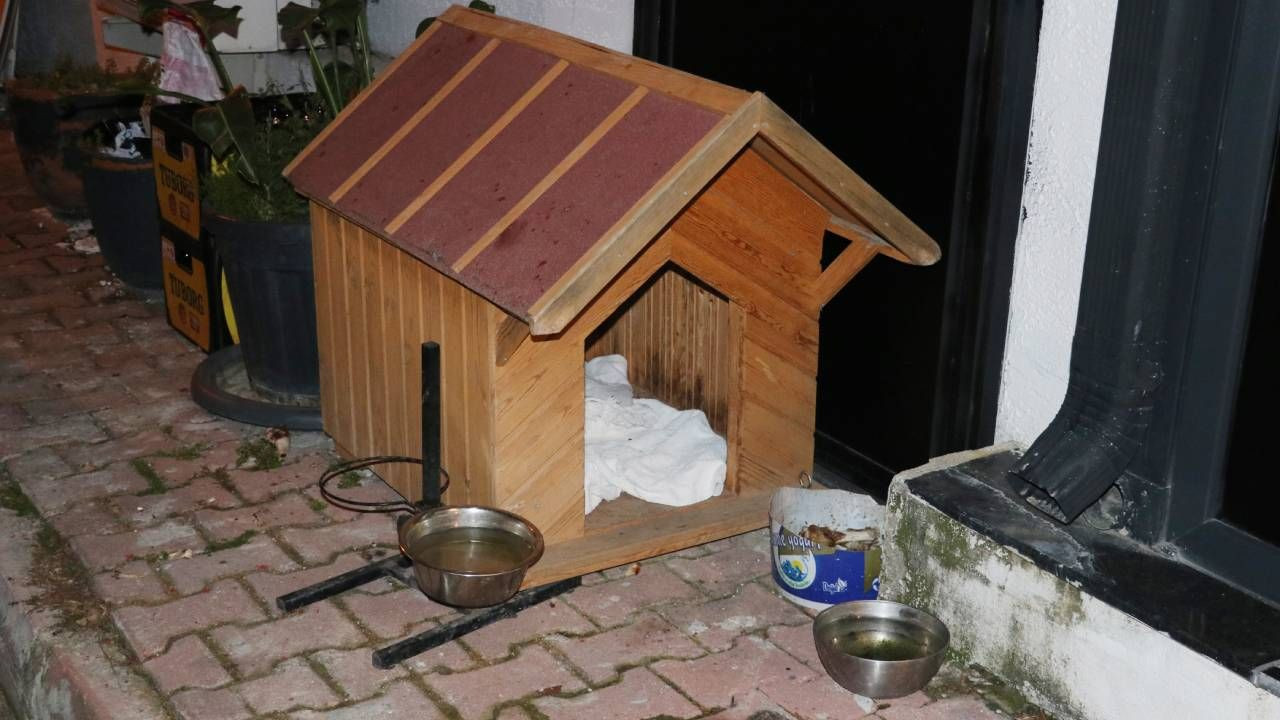 Emekli polisi memuru, havladı diye köpeği katletti! Lady'yi 3 el ateş ederek öldürdü - Sayfa 7