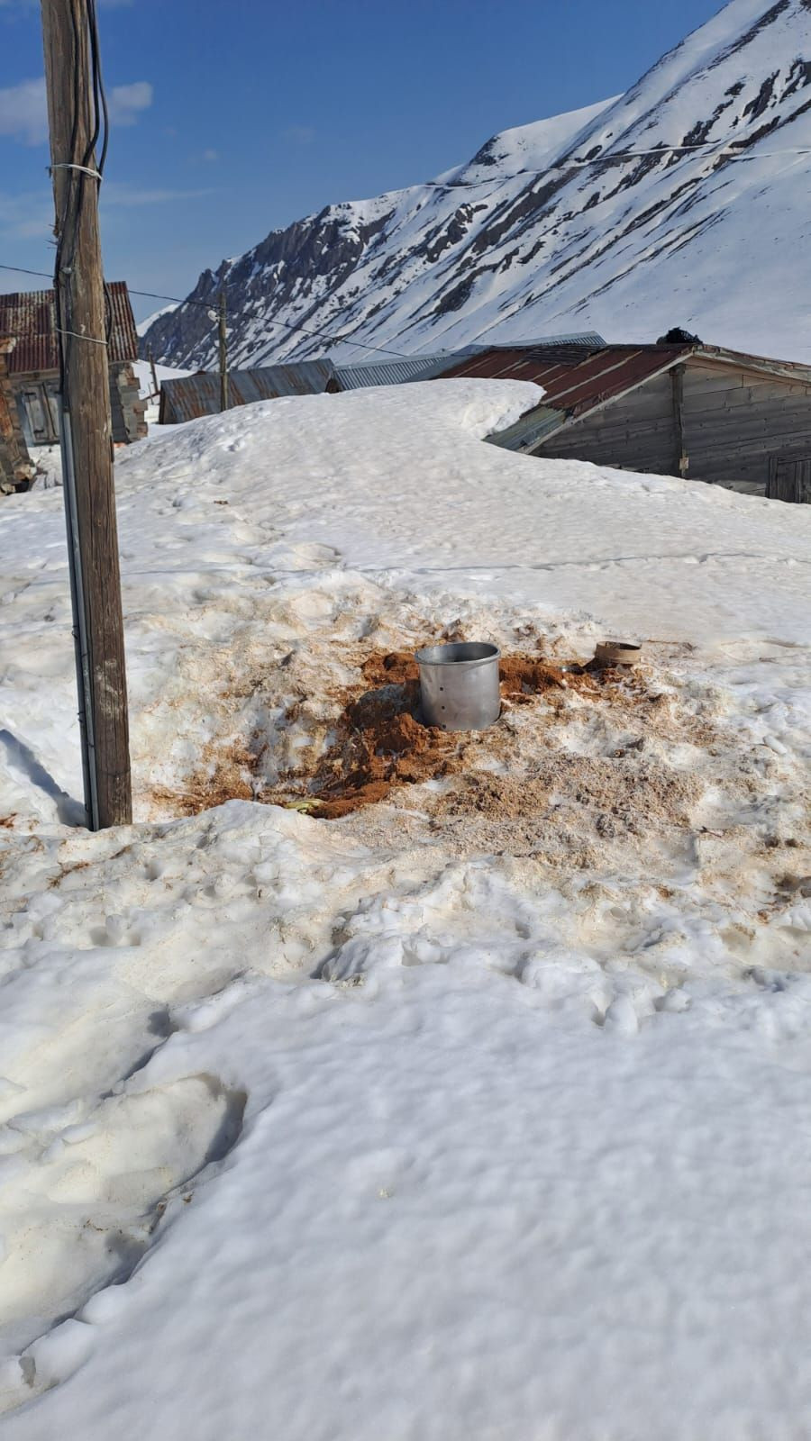 Rize'de kış uykusundan uyanan ayılar evlere dadandı, 30 hanede yiyecek aramışlar - Sayfa 1