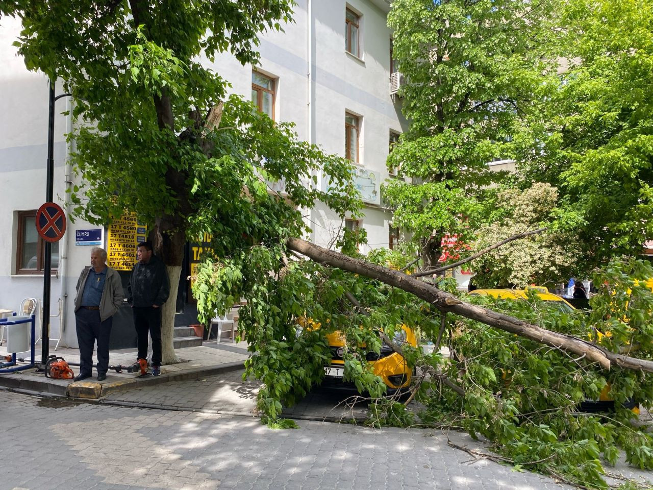 Çanakkale’de fırtına paniği! Kırılan ağaç dalı taksilere zarar verdi - Sayfa 5