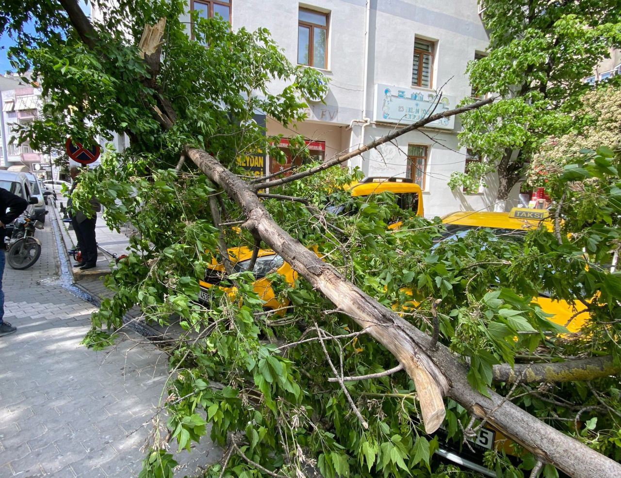 Çanakkale’de fırtına paniği! Kırılan ağaç dalı taksilere zarar verdi - Sayfa 6