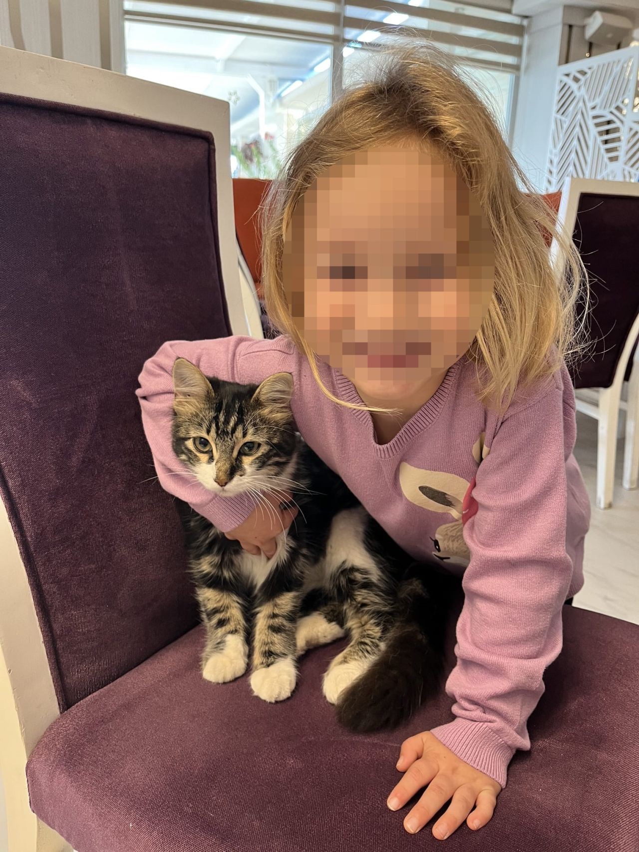 Fethiye'de fıkra gibi boşanma davası: Kızını babasıyla görüşmeye 43 dakika geç götürdü diye 3 gün hapsi istendi - Sayfa 2