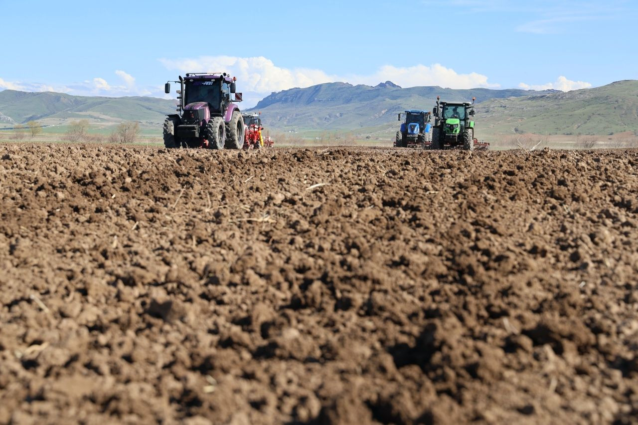 Sivas’ta şeker pancarı bereketi! Tohumlar toprakla buluştu - Sayfa 5