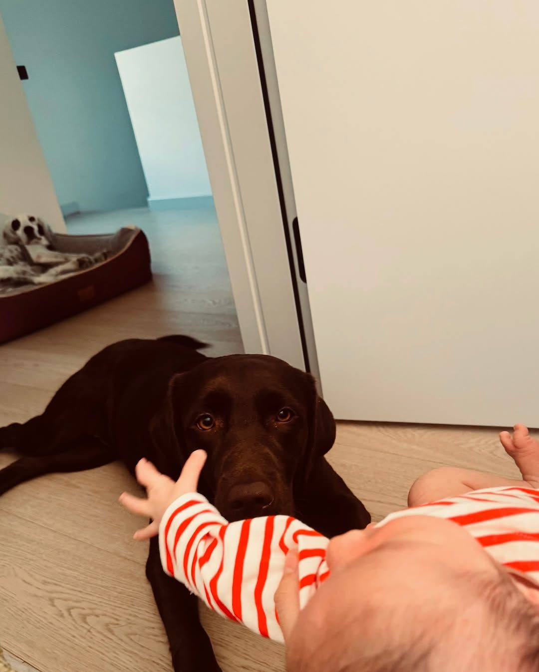 Pınar Deniz ile Kaan Yıldırım'dan oğulları Fikret Hakan'la ilk paylaşım - Sayfa 8