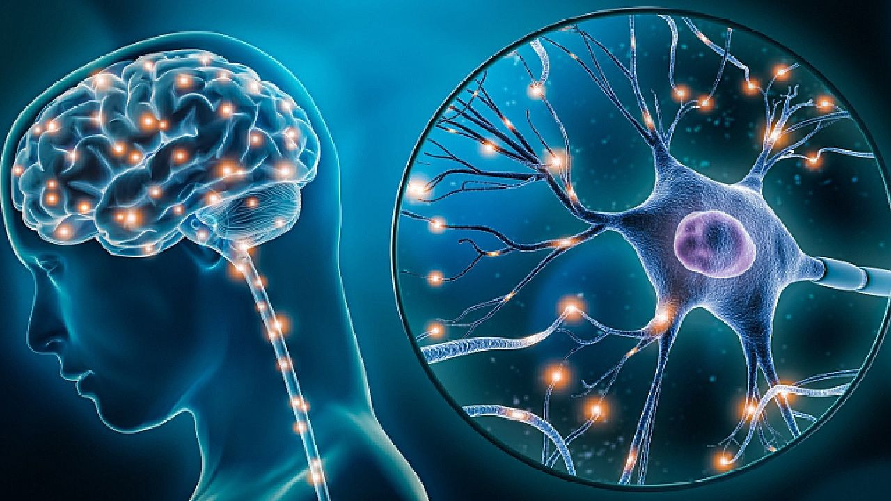 Şok eden araştırma: Beynimizde biriken mikroplastik miktarı 8 yılda yüzde 50 arttı! Sağlığımız ciddi tehdit altında! - Sayfa 3