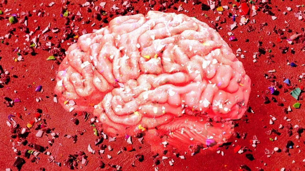 Şok eden araştırma: Beynimizde biriken mikroplastik miktarı 8 yılda yüzde 50 arttı! Sağlığımız ciddi tehdit altında! - Sayfa 5