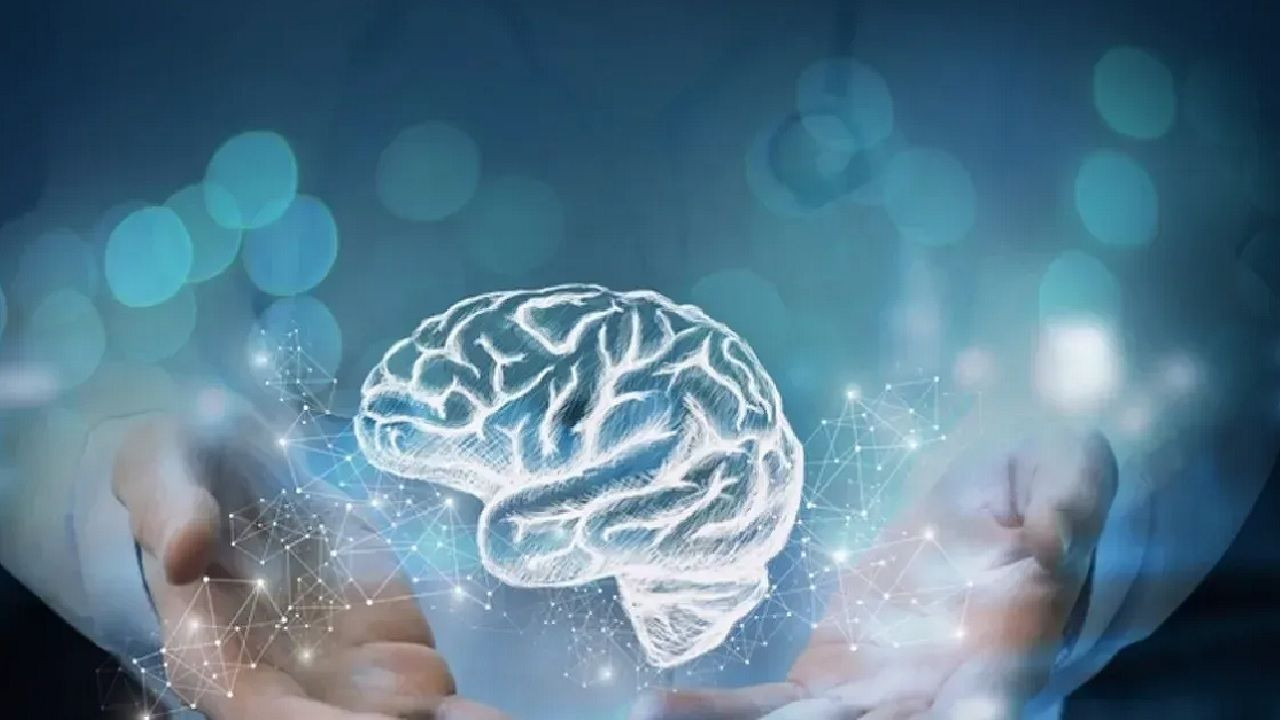 Şok eden araştırma: Beynimizde biriken mikroplastik miktarı 8 yılda yüzde 50 arttı! Sağlığımız ciddi tehdit altında! - Sayfa 6