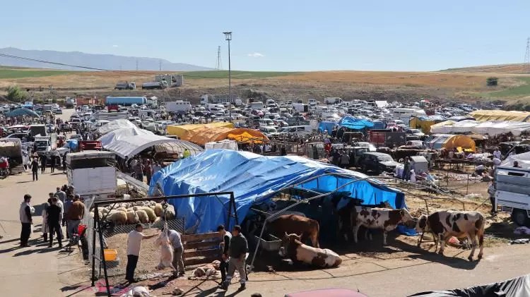 Kurban pazarları kurulmaya başlandı: Peki fiyatlarda durum nasıl? - Sayfa 1