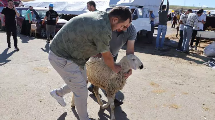 Kurban pazarları kurulmaya başlandı: Peki fiyatlarda durum nasıl? - Sayfa 19
