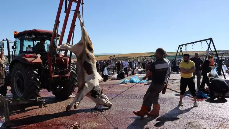 Kurban pazarları kurulmaya başlandı: Peki fiyatlarda durum nasıl? - Sayfa 20