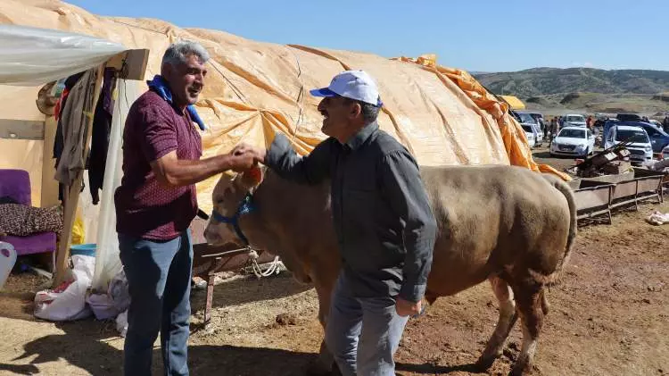 Kurban pazarları kurulmaya başlandı: Peki fiyatlarda durum nasıl? - Sayfa 23