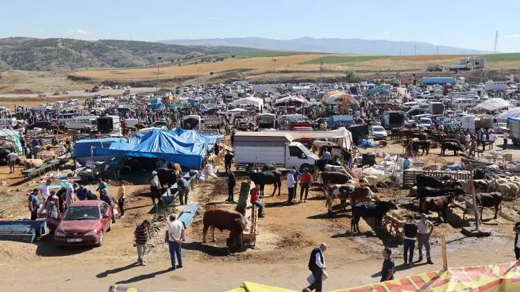Kurban pazarları kurulmaya başlandı: Peki fiyatlarda durum nasıl? - Sayfa 24