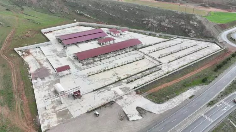 Kurban pazarları kurulmaya başlandı: Peki fiyatlarda durum nasıl? - Sayfa 3