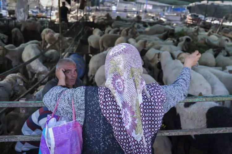 Kurban pazarları kurulmaya başlandı: Peki fiyatlarda durum nasıl? - Sayfa 9