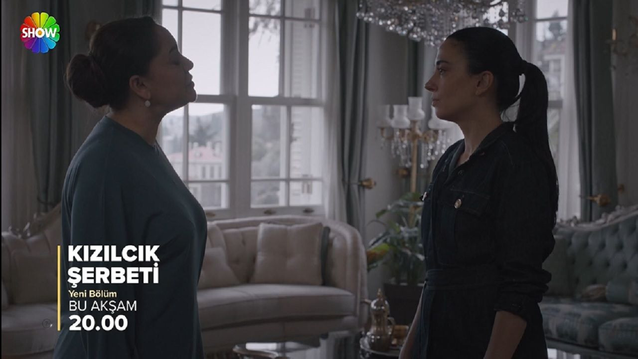 Kızılcık Şerbeti'nde Ahmet Minguzzi olayı işlendi! İzleyiciden yorum yağdı... - Sayfa 4