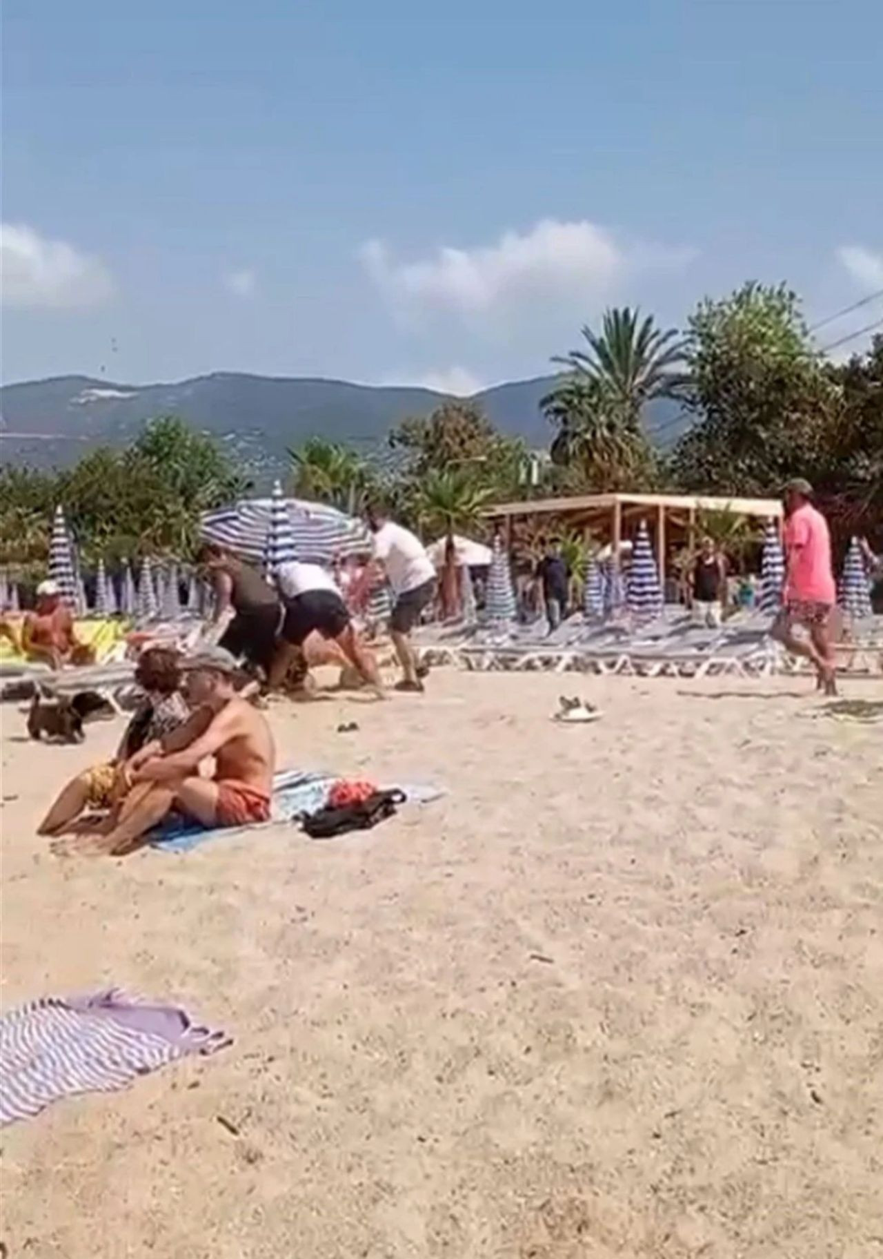 Alanya'da şezlong ücretini fazla bulan turiste dayak! İşletme mühürlendi - Sayfa 2