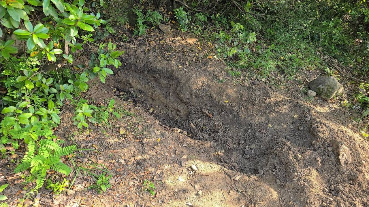 Kayıp olarak aranıyordu! Zonguldaklı Dinçer'i içki arkadaşları öldürüp çuvalla gömmüş; 3 tutuklama - Sayfa 6