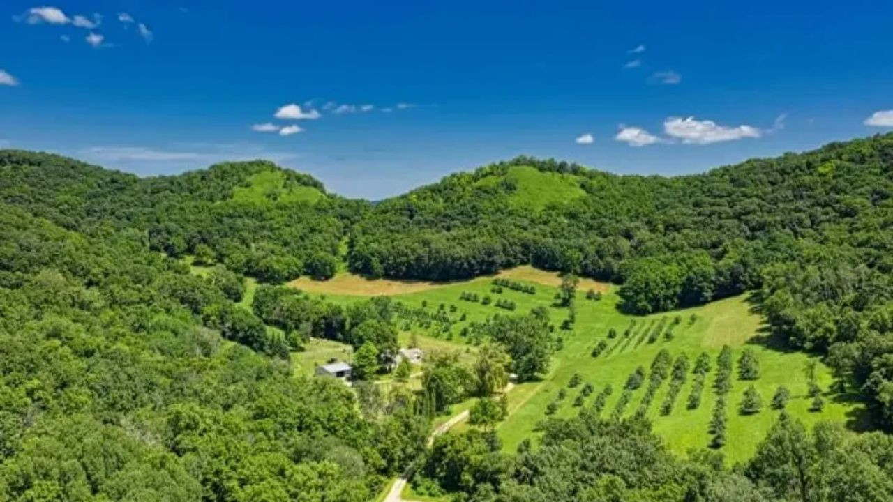 Bakan Kurum’dan 2B müjdesi! 5 Milyon vatandaşa tapu yolda! İşte 6 soruda tüm detaylar - Sayfa 5