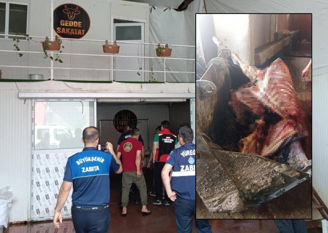 Kebabın başkenti Adana'da skandallar zinciri: Bu kez de 2.5 ton at eti ele geçirildi - Sayfa 3