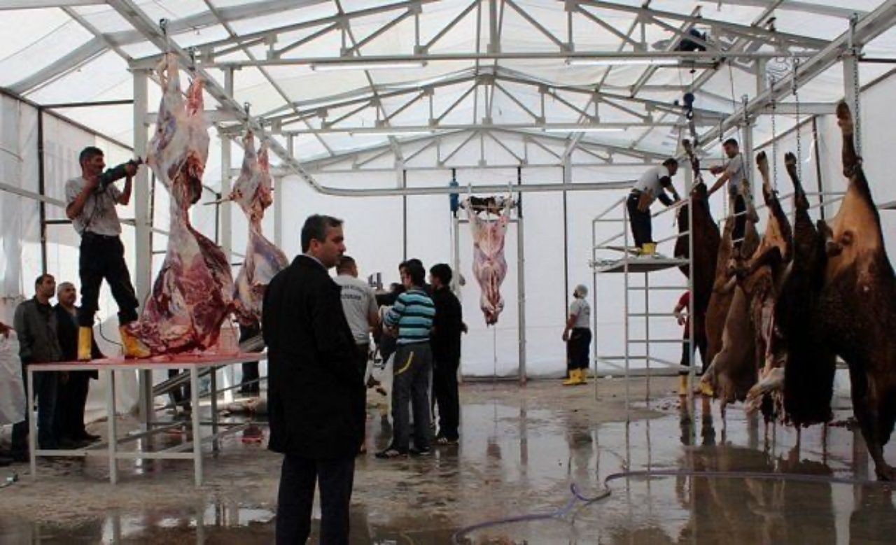 Cezalar belli oldu! Sokakta kurban kesip atıklarını gömenlere 16.609 TL lira ceza - Sayfa 2