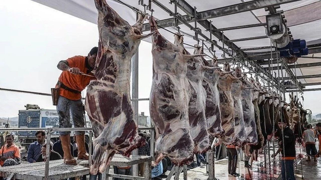 Cezalar belli oldu! Sokakta kurban kesip atıklarını gömenlere 16.609 TL lira ceza - Sayfa 3