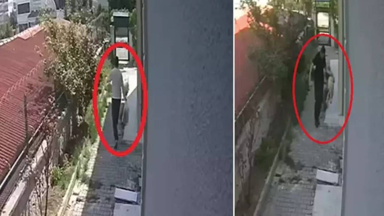 Köpek sapığı doktor Muhammet Mustafa Duman'ın telefonundan 43 bin müstehcen görüntü çıktı - Sayfa 4