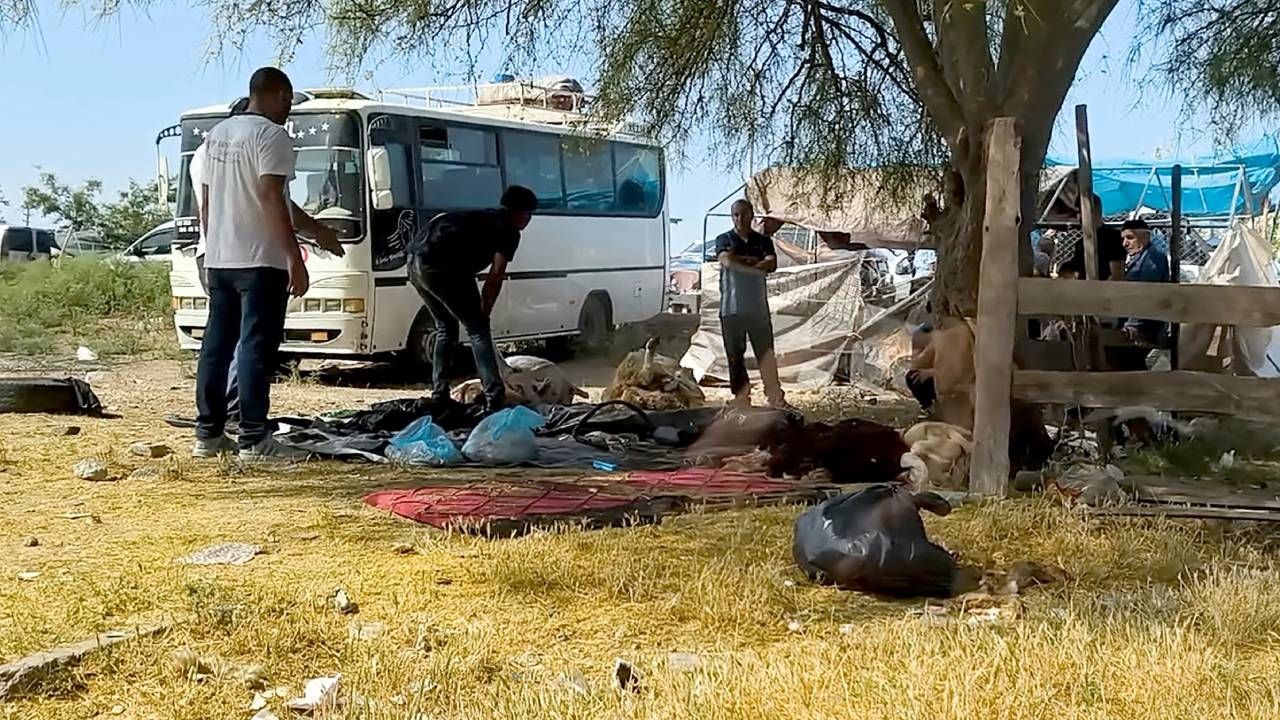 Kaçak kurban kesimi her yerde, yasağa aldırış etmediler; boş araziler, yol kenarları, ağaç altları... - Sayfa 2