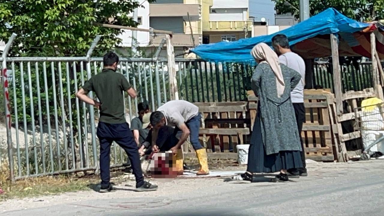 Kaçak kurban kesimi her yerde, yasağa aldırış etmediler; boş araziler, yol kenarları, ağaç altları... - Sayfa 1