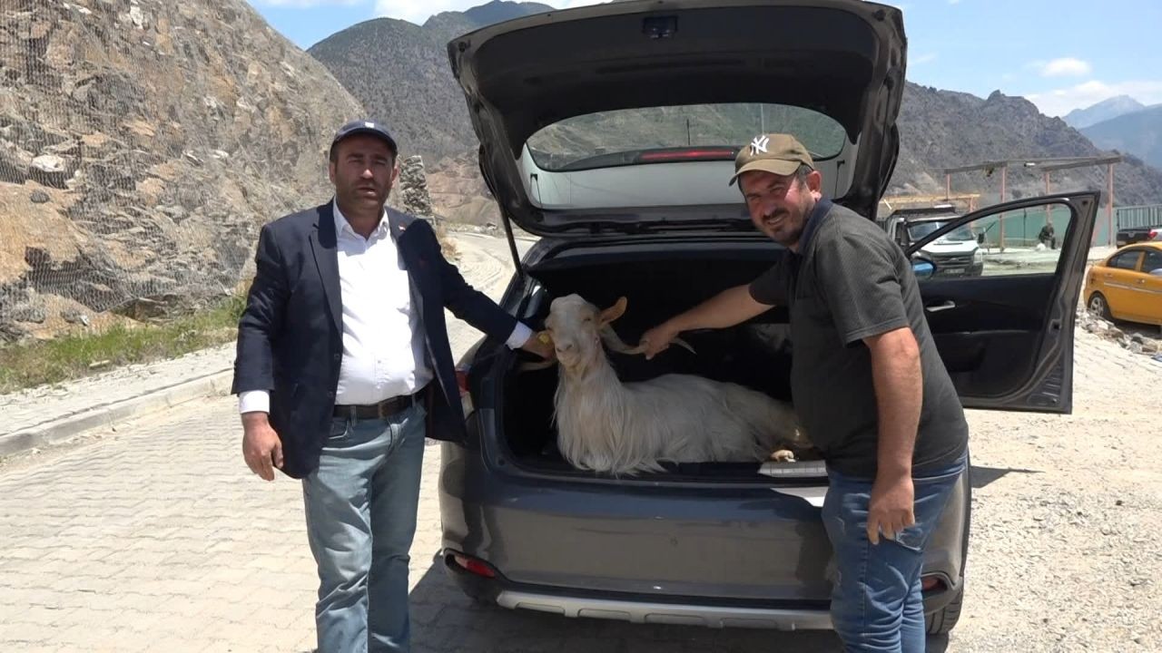 Kaçak kurban kesimi her yerde, yasağa aldırış etmediler; boş araziler, yol kenarları, ağaç altları... - Sayfa 3