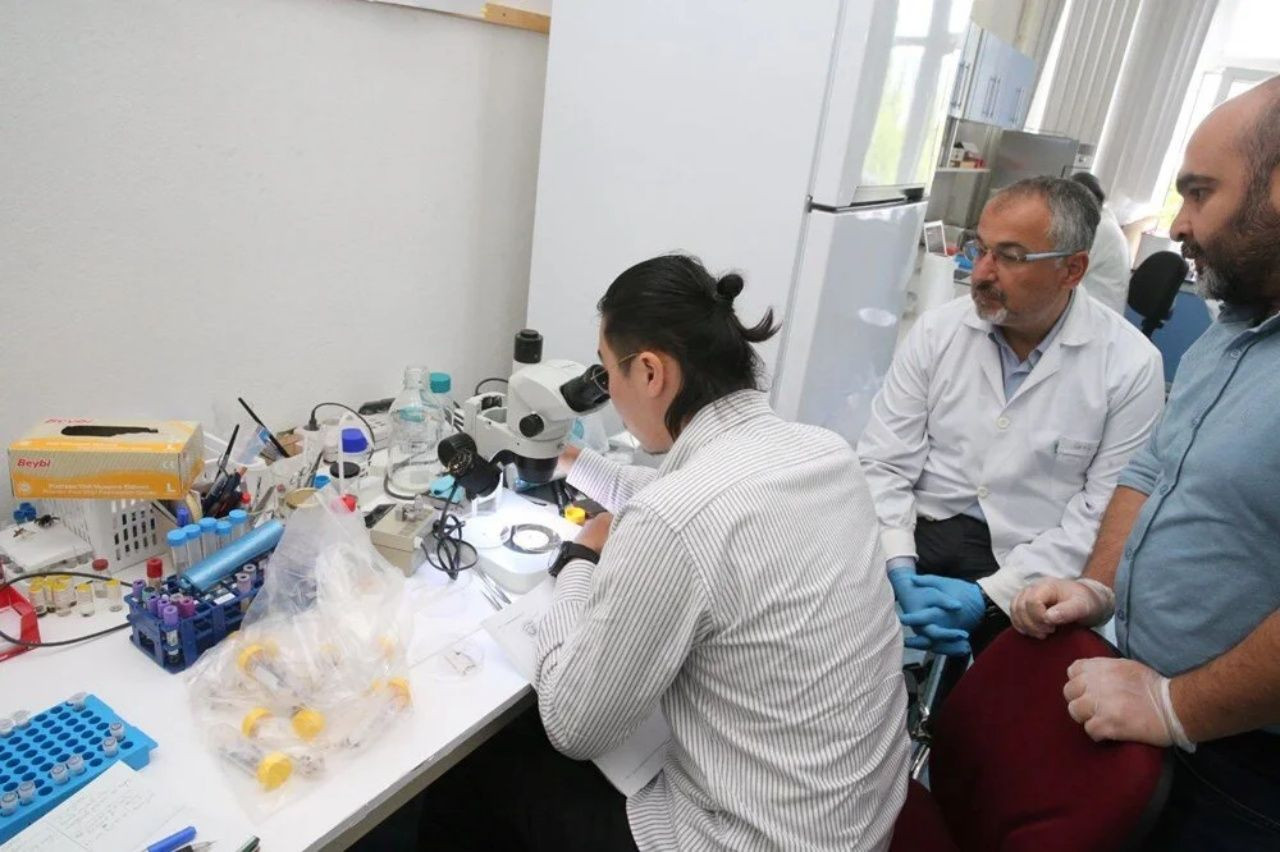 Türkiye'de yeni kene türü tespit edildi! 30’dan fazla hastalık taşıyor, uyarilar artıyor - Sayfa 5