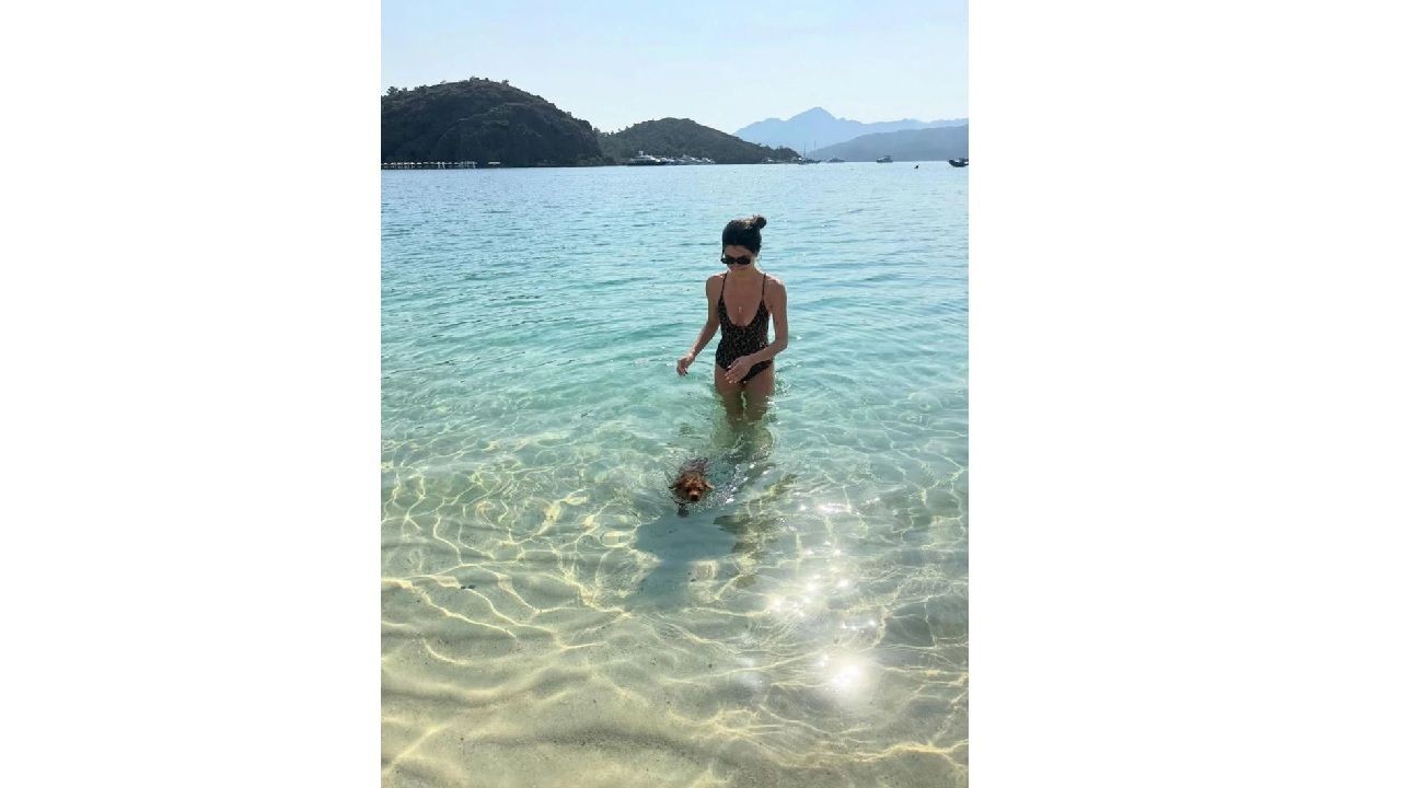 Nesrin Cavadzade'den hayvan sevgisi eleştirilerine net yanıt: "Dolce'yi satın almadım, evimde iki tekir kedi de var" - Sayfa 1