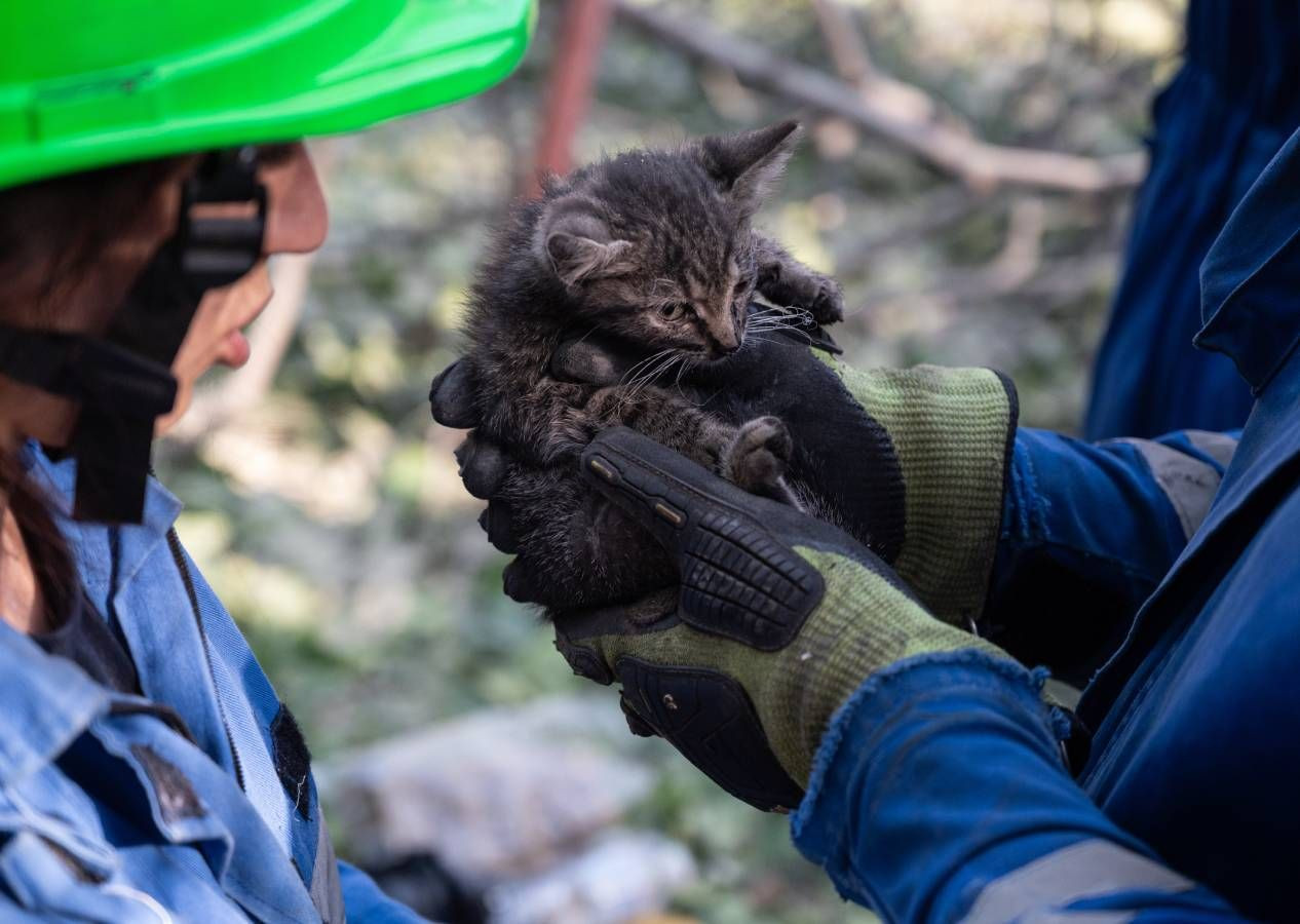 Rusya Kiev'i vurdu: 15 ölü, en az 75 yaralı! Dünya İsrail-İran savaşını izlerken Ukrayna yerle bir edildi - Sayfa 7