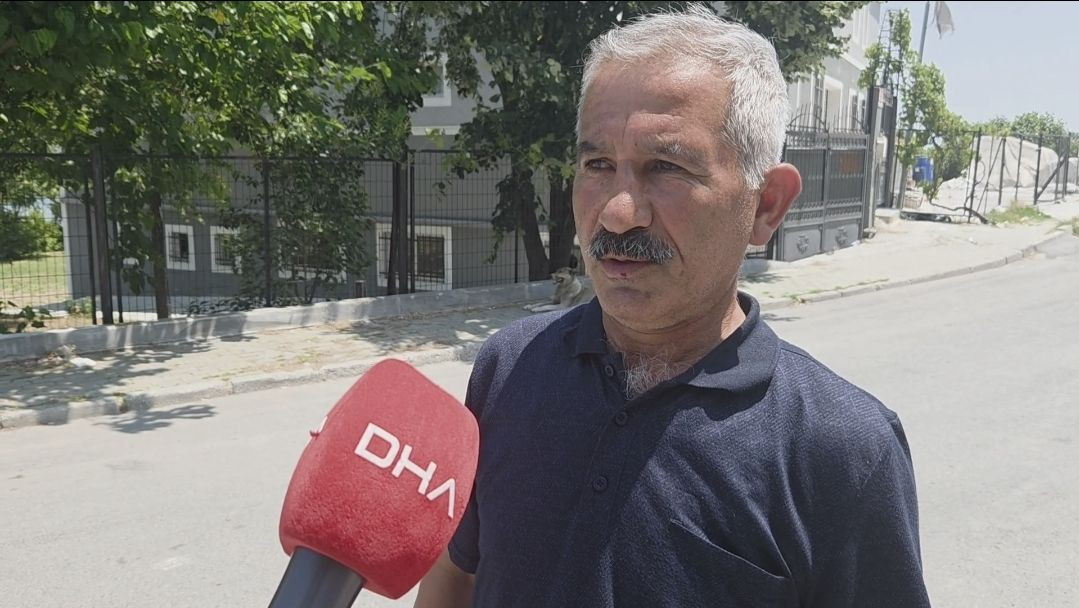 İstanbul'da 7 ilçede yılan tedirginliği! Havalar ısındı, yılanlar ortaya çıktı, her yerdeler - Sayfa 9