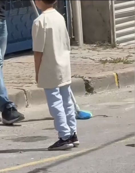 İstanbul'da 7 ilçede yılan tedirginliği! Havalar ısındı, yılanlar ortaya çıktı, her yerdeler - Sayfa 3