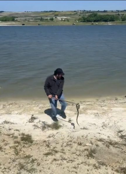 İstanbul'da 7 ilçede yılan tedirginliği! Havalar ısındı, yılanlar ortaya çıktı, her yerdeler - Sayfa 6