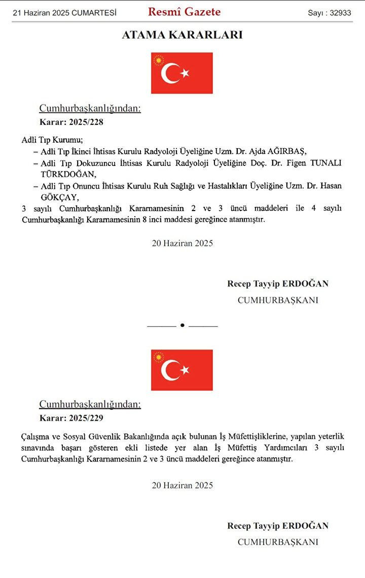 Cumhurbaşkanı Erdoğan imzaladı! Üç ülkeye yeni büyükelçi atandı - Sayfa 2