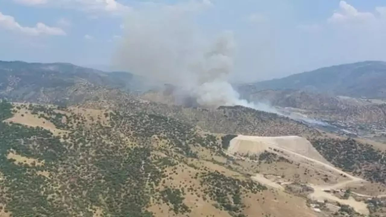 Aydın'da büyük orman yangını: Müdahale sabaha kadar sürecek - Sayfa 3