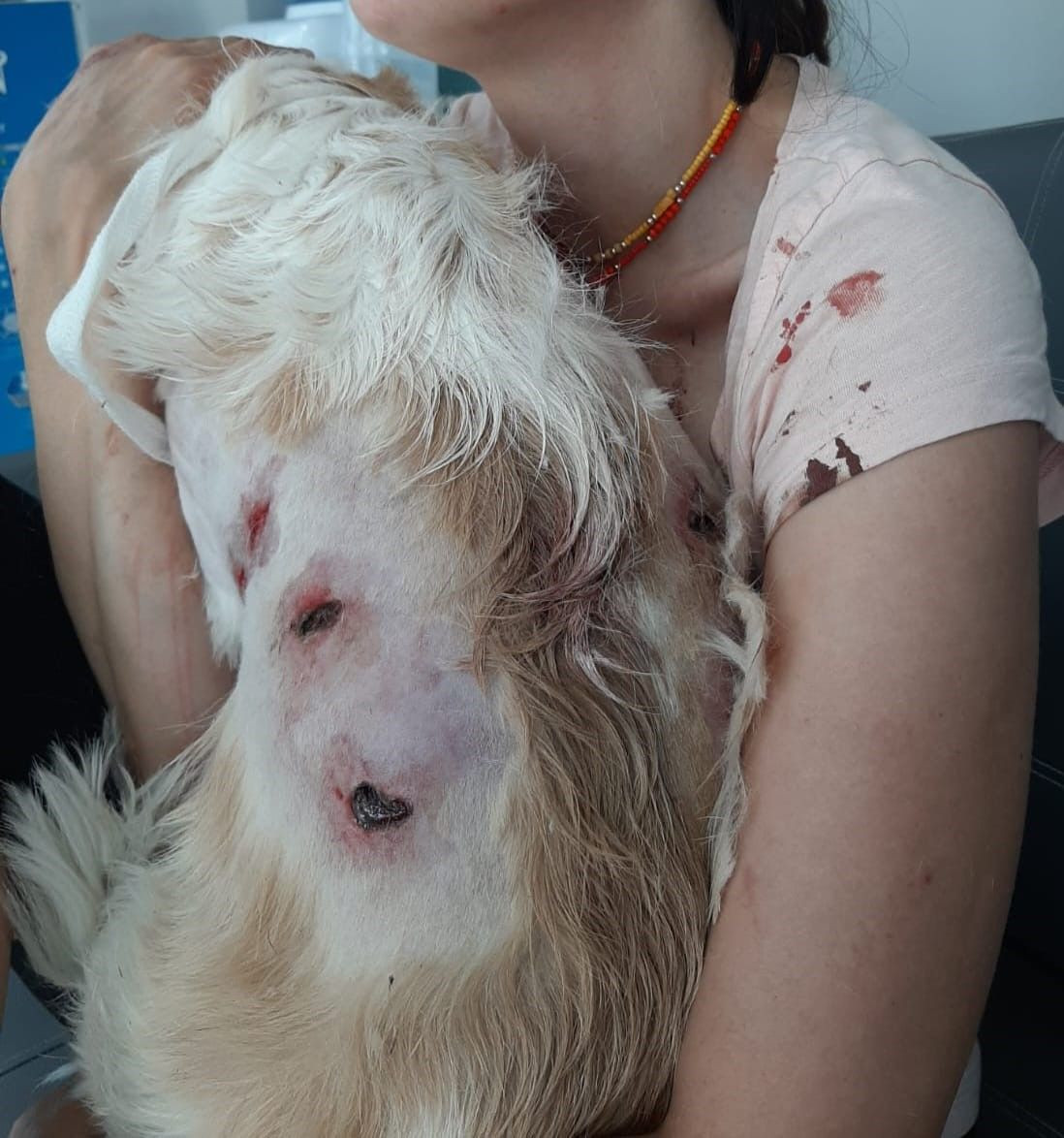 Bursa'da kangal dehşeti! Köpeğini gezdiren kadın paramparça ettiler; o anlar kamerada - Sayfa 4