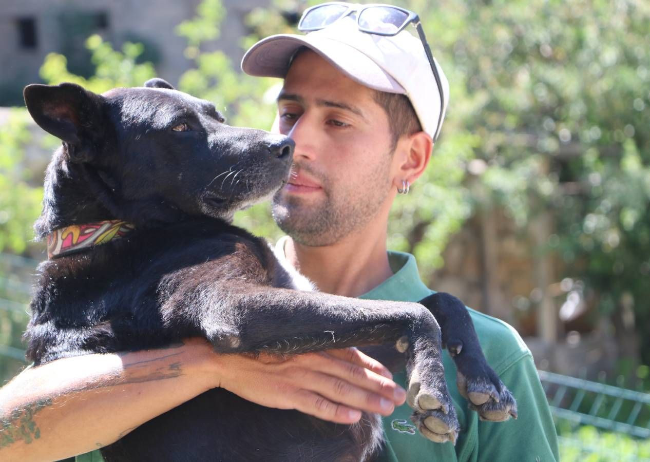 Şilili gezgin Diego Sebastian Haro Lopez ülkesinden bisikletle yola çıkıp köpeği Milo'yla 80 ülke gezdi - Sayfa 4